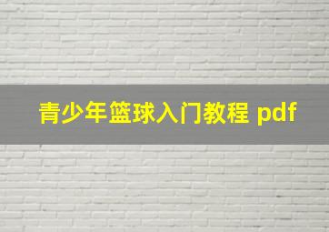 青少年篮球入门教程 pdf